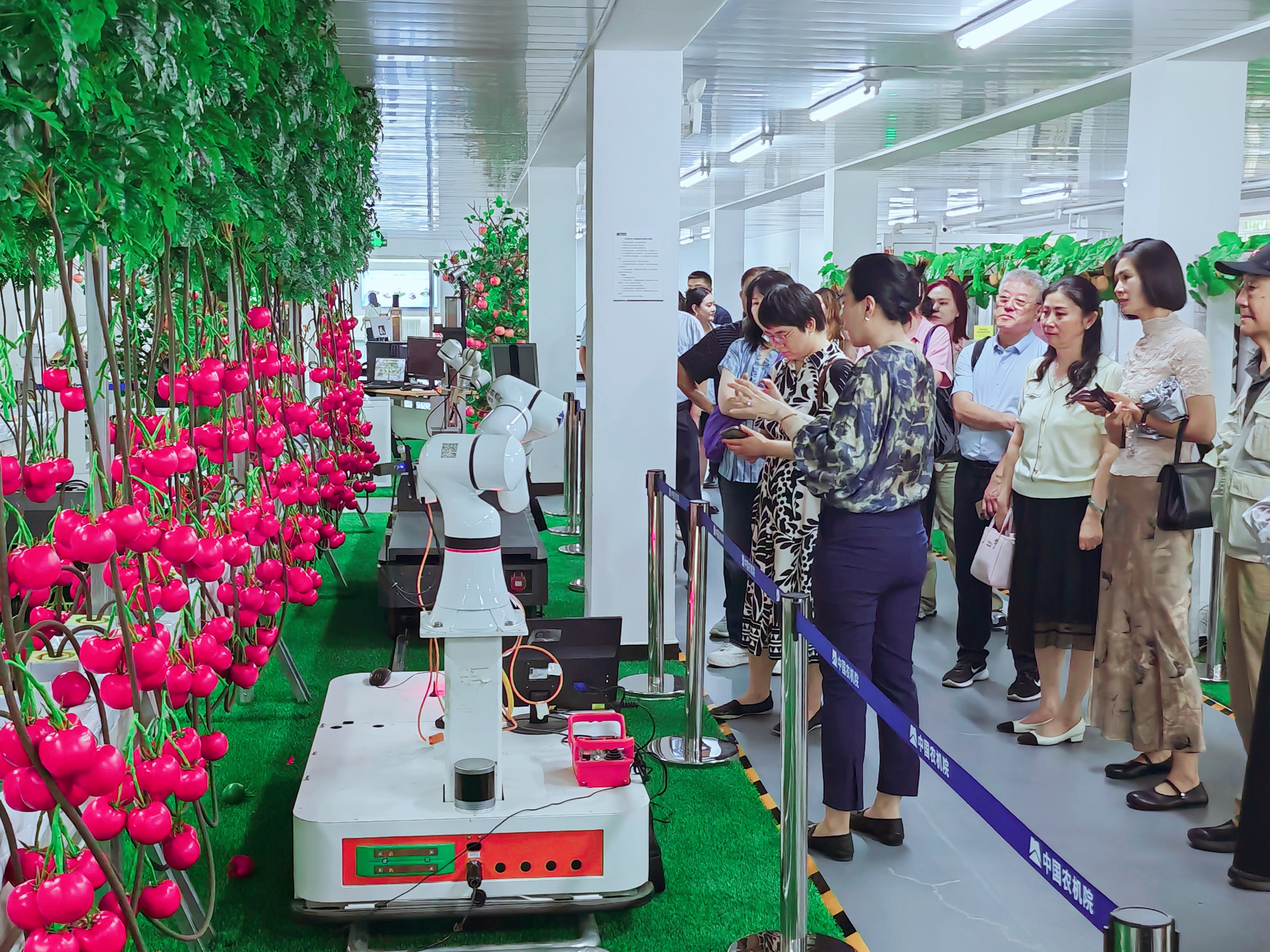 55世纪-购彩大厅welcome(中国游)官方网站