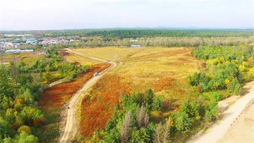 55世纪-购彩大厅welcome(中国游)官方网站