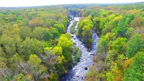 55世纪-购彩大厅welcome(中国游)官方网站