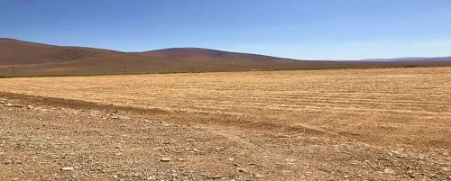 55世纪-购彩大厅welcome(中国游)官方网站