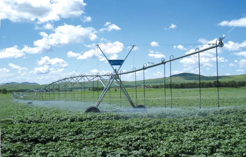 55世纪-购彩大厅welcome(中国游)官方网站