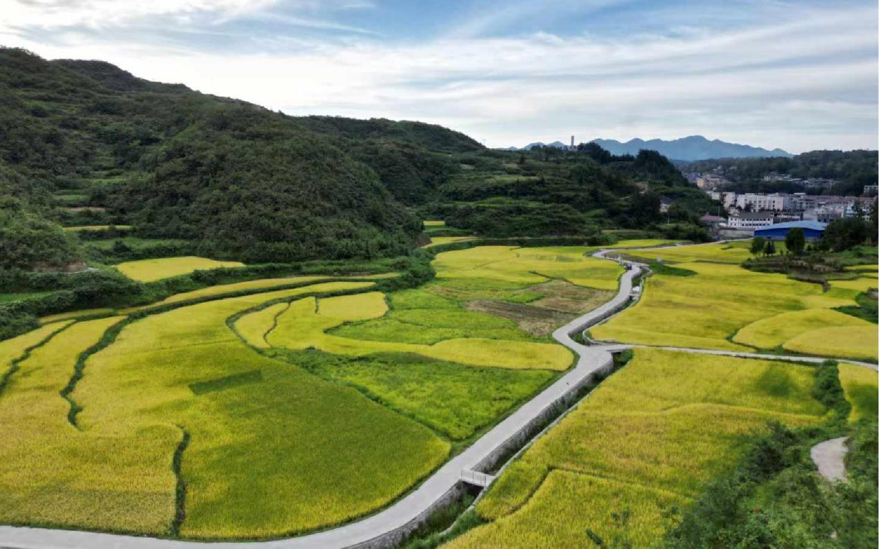 55世纪-购彩大厅welcome(中国游)官方网站